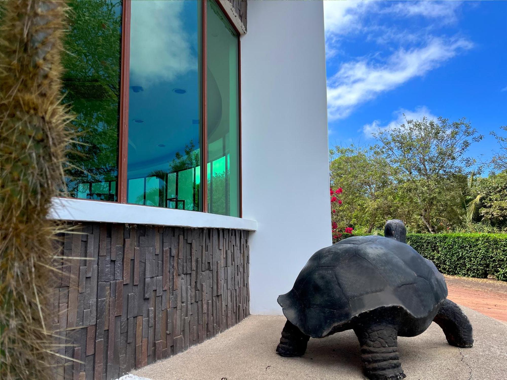 Hotel Tortuga Bay - Galapagos Puerto Ayora  Ngoại thất bức ảnh